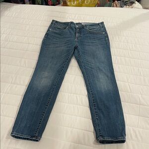 Pilcro and the Letterpress by Anthropologie High-Rise Denim Legging Size 31